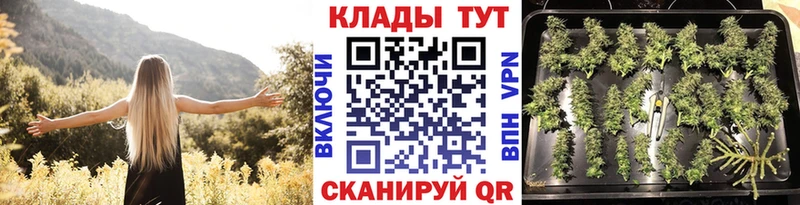 Виды наркоты Казань 