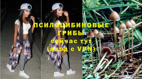 эйфоретик Краснотурьинск