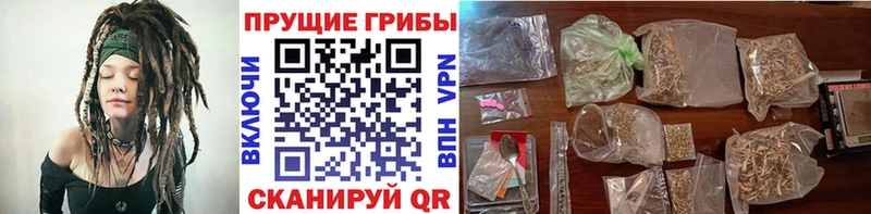 Галлюциногенные грибы Cubensis  Казань 